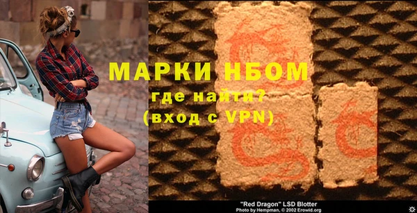 тгк Новодвинск