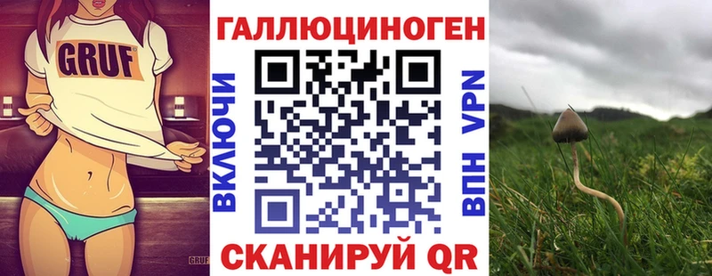 Галлюциногенные грибы MAGIC MUSHROOMS кракен Катайск